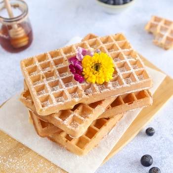 Gaufre vegan UNE